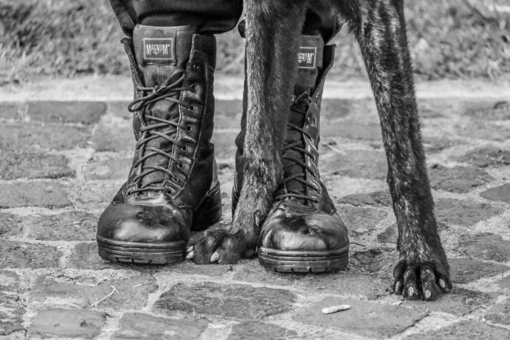 Servizi K9-V